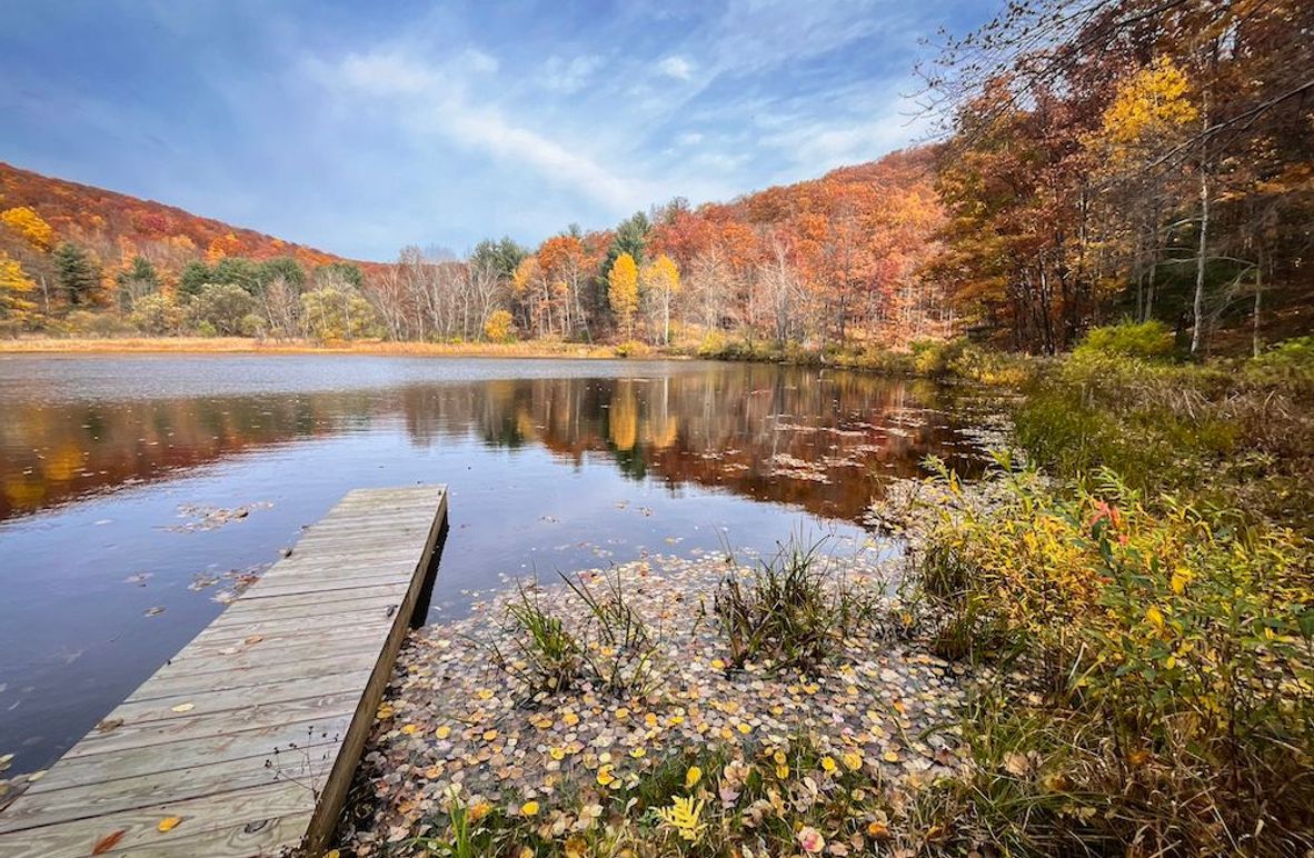 Ontario_606.7_Farm East _Photos_3