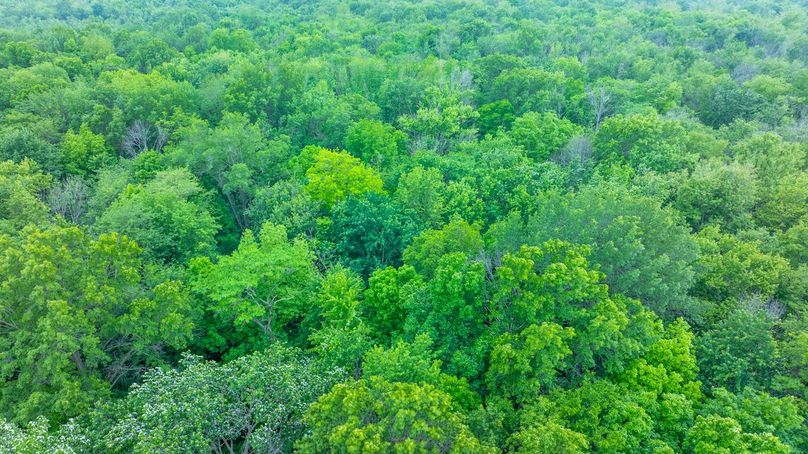 DJI_20250515174405_0036_D