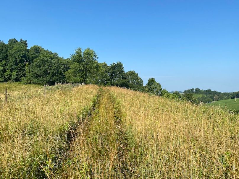 014 the open area for cutting hay along the ridge on the north end copy