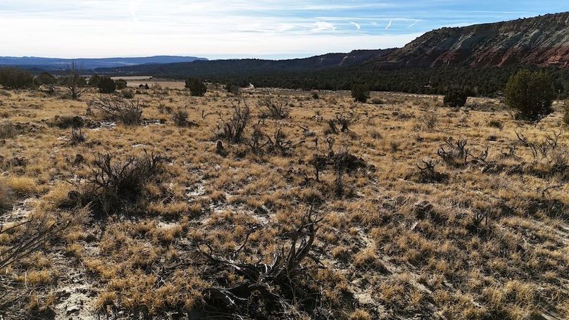 DJI_20241219101925_0068_D