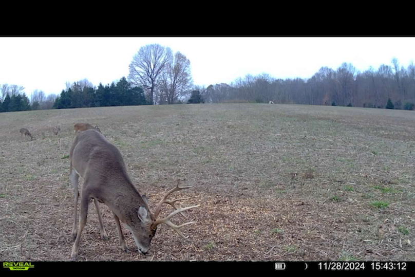 trail cam3