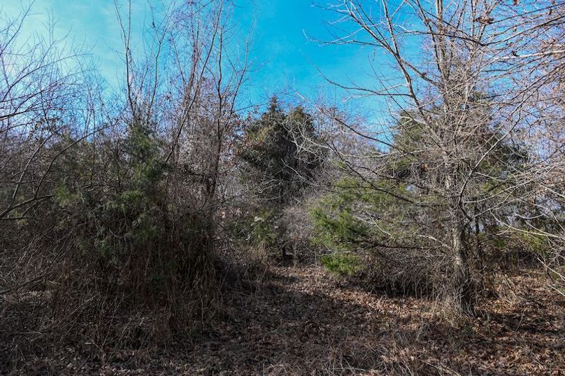 vandalia 450 (2)-1704