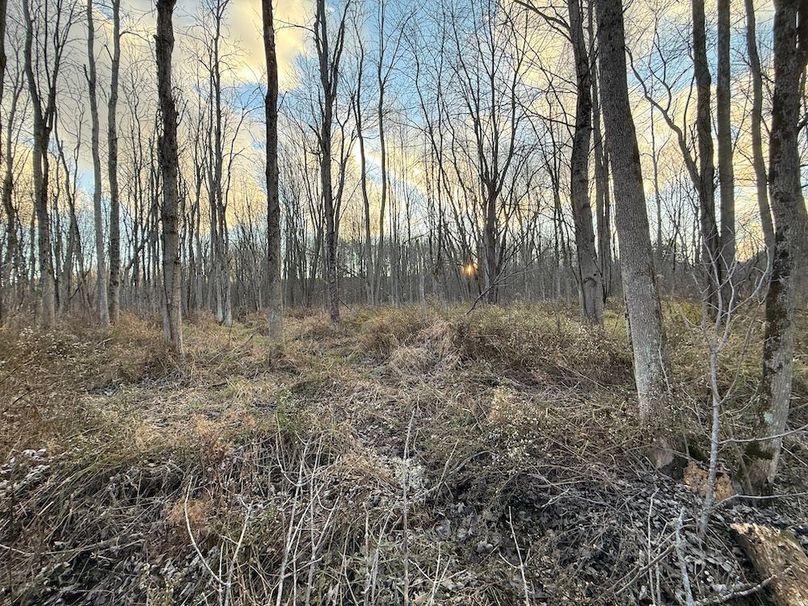 Wayne_29.09_BD_LandParcel_28