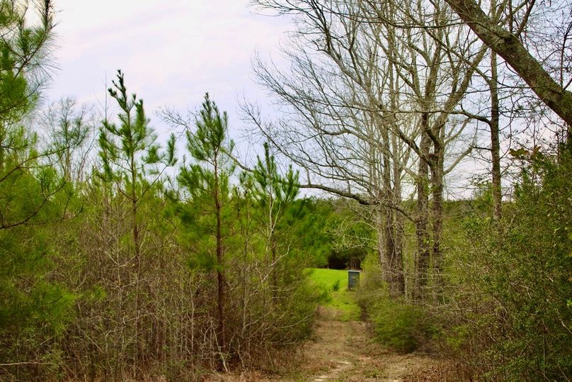 BF5AC164-5BE6-4594-9F2E-68BC98C4CB70_1_105_c