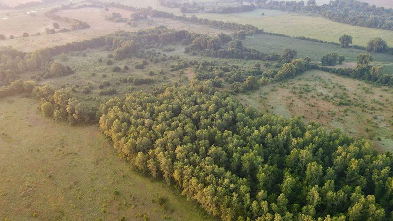 dji_fly_20230625_062802_997_1687692518623_photo