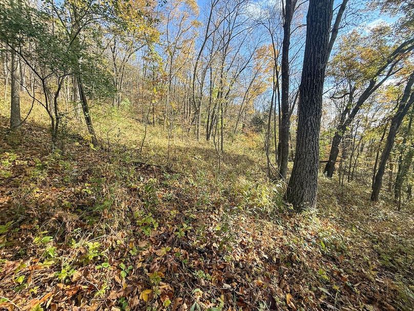 Houston 24.97 Updated-37