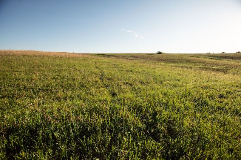 MONTGOMERY CO IA. 156.78_52