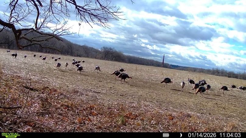 016579009374005-100-3-01142026110403-SYFW05804