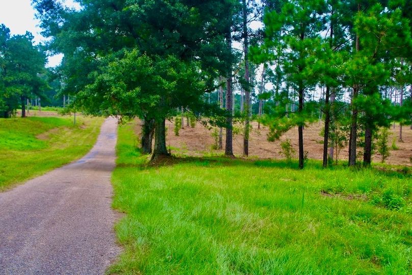 60E1A9EB-5E72-4735-AC50-EA4B1F946100_1_105_c