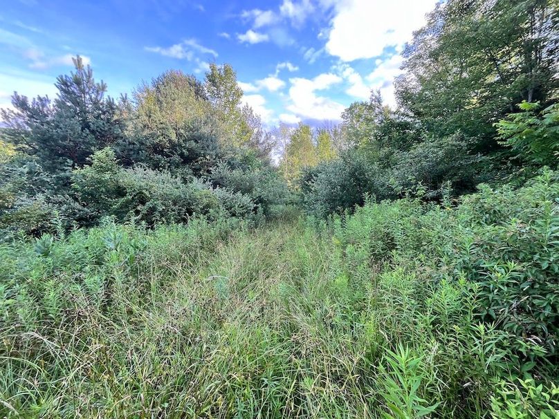 Chemung_78.26+Gutchess_Lumber_Photos_24