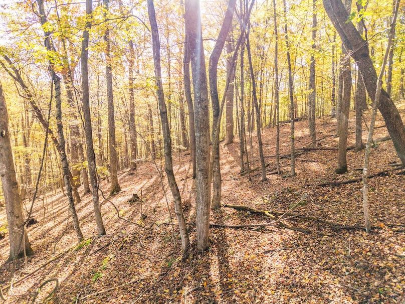 DJI_20251015100734_0046_D