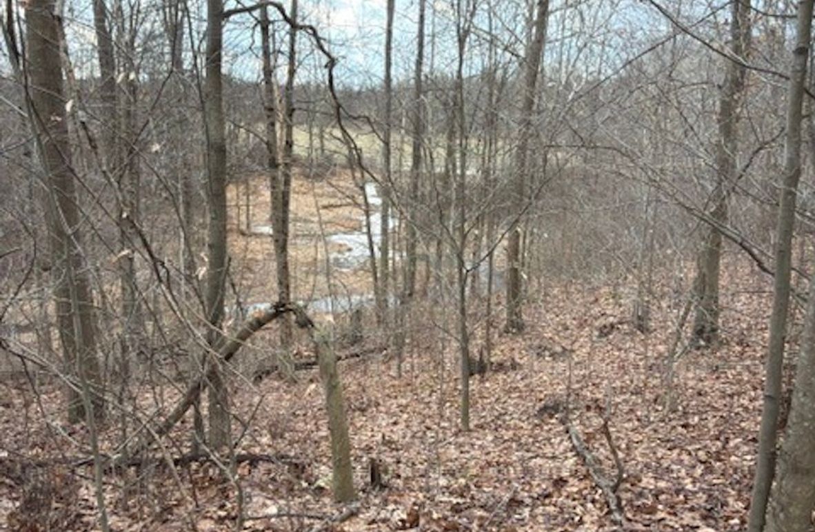 0A25DD5C-411D-4F56-A3B7-F3CE0306642C_4_5005_c