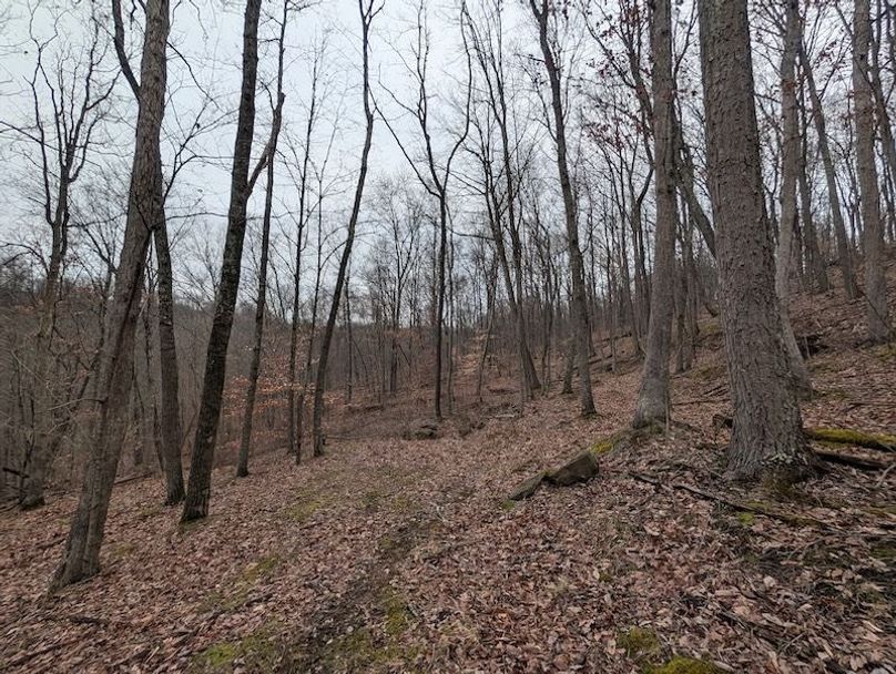 PXL_20260107_211624090.MP