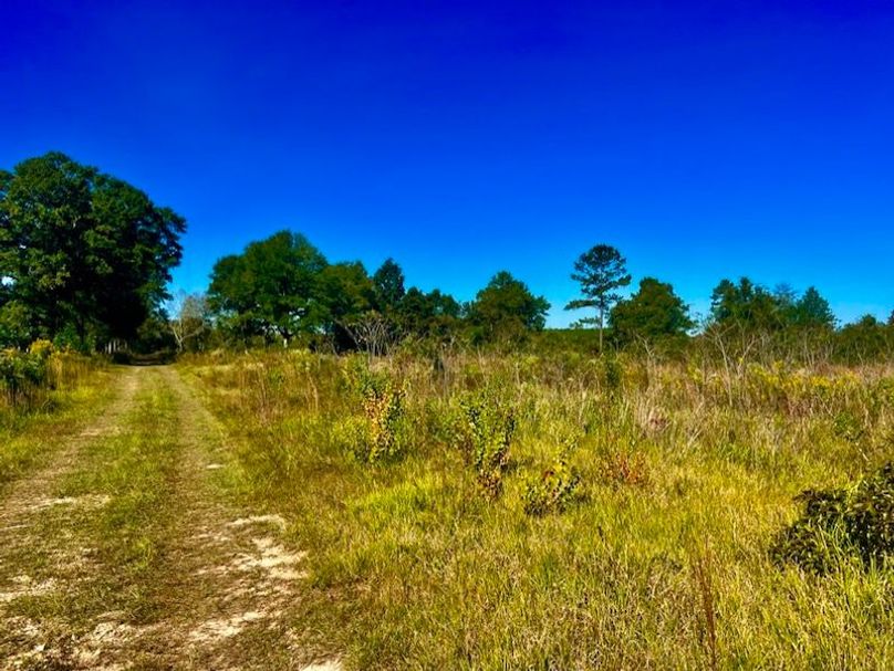 D243E060-B153-4451-A5F4-2B3EF617845B_1_105_c