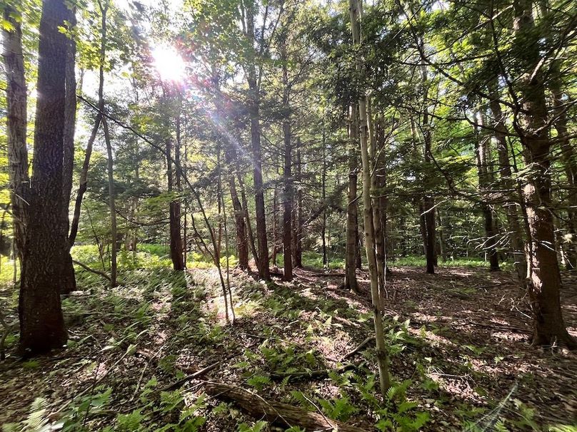 Jefferson_260.3_ Lobach_Photos_31