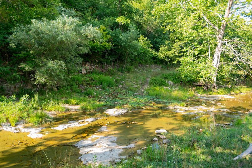 Ozark MO 638_Pro Photo_68