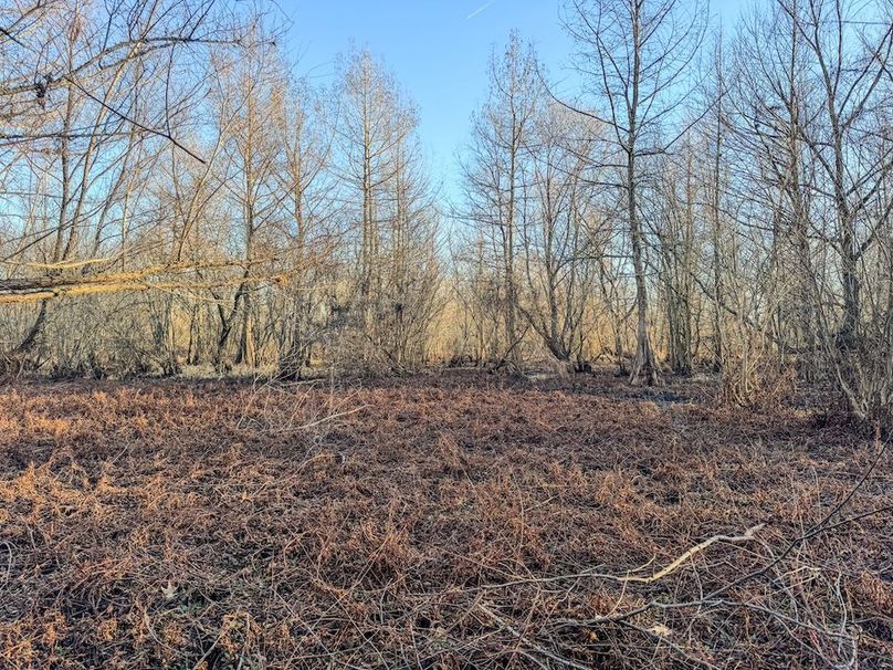 St. Francis 138.5 Calvin Parker Farms Profile -21