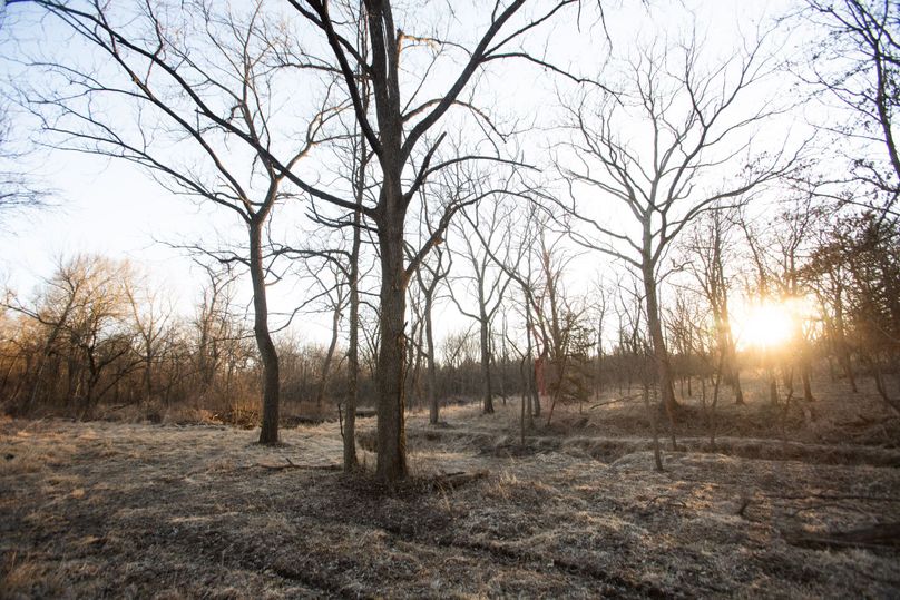 WORTH CO MO 537.44_78