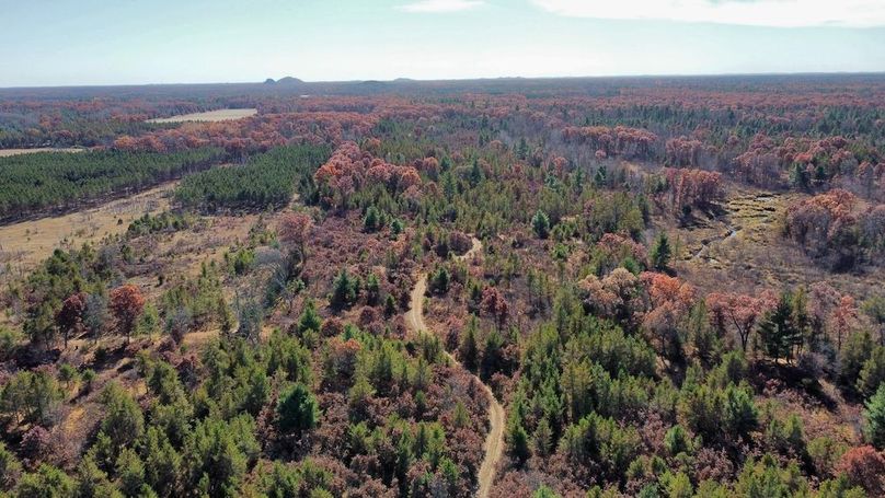 dji_fly_20241024_130344_493_1730406262863_photo_optimized