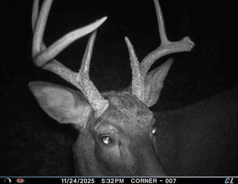 Adams 25, Nessler -20