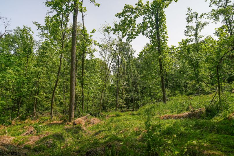 York 86 Ground Photos-05