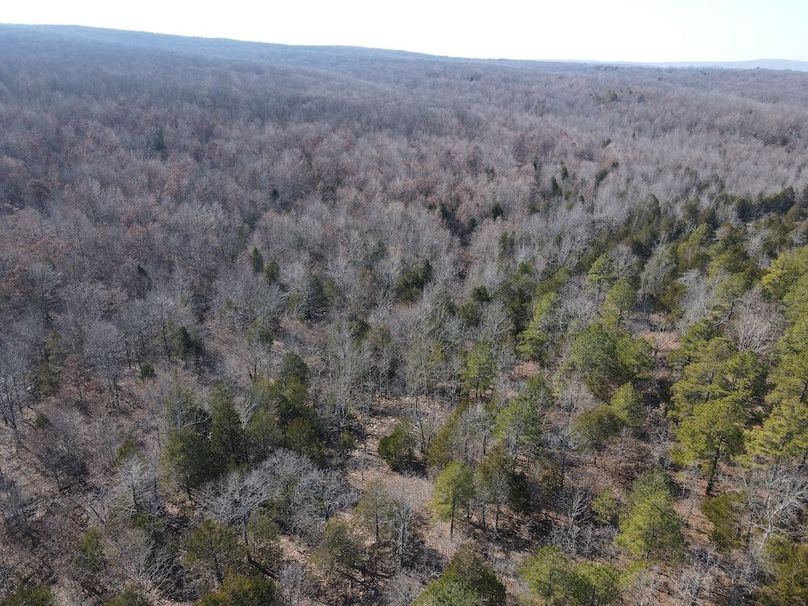 dji_fly_20250213_142526_14_1739478337803_photo