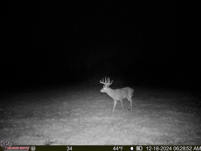 thumb-5c7efed11f448bb89ee846aa832f519304fd967a (1)