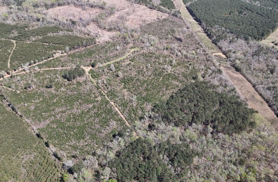 Copy of DJI_20260314020150_0116_D