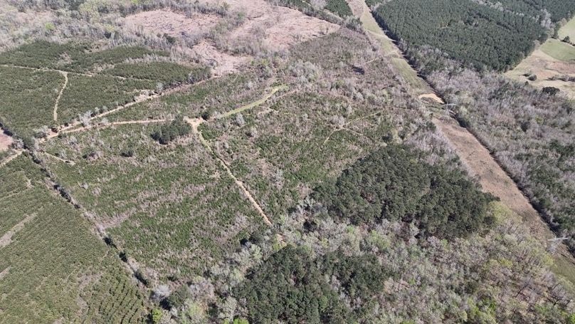 Copy of DJI_20260314020150_0116_D