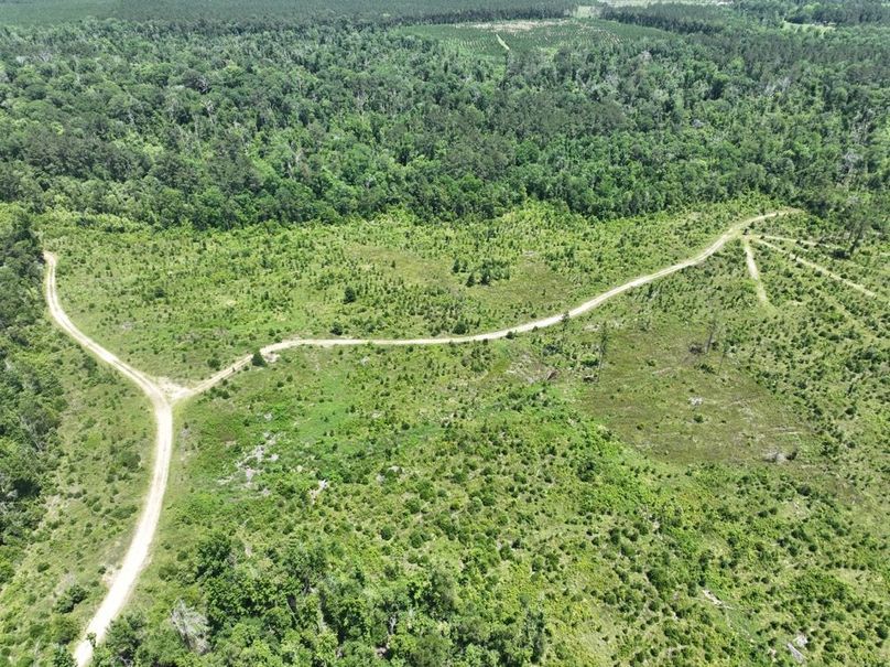 dji_fly_20250522_160024_209_1747959340211_photo