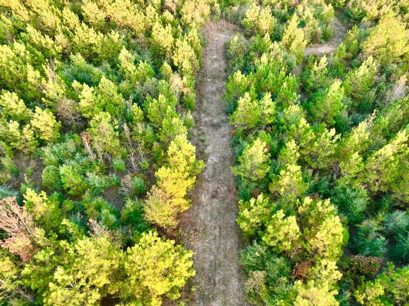 217C104C-25D8-4F48-BB7E-241402ABB0B8_1_105_c