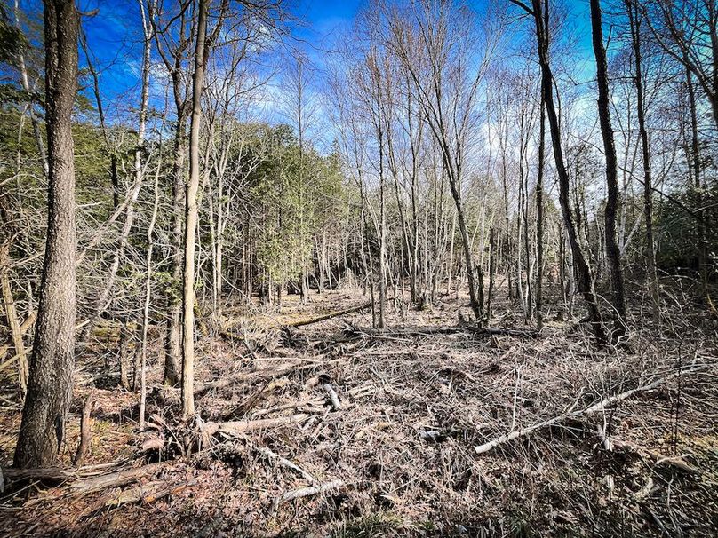 StLawrence_142.7_Bosse_Photos_30