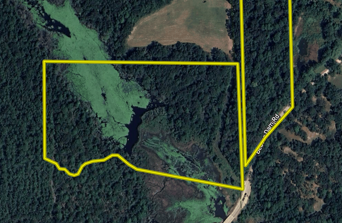 Screen Shot 2025-10-23 at 9.17.47 AM