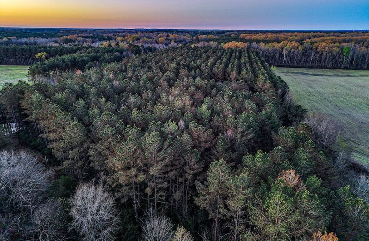 Chickasaw Tract 1-01