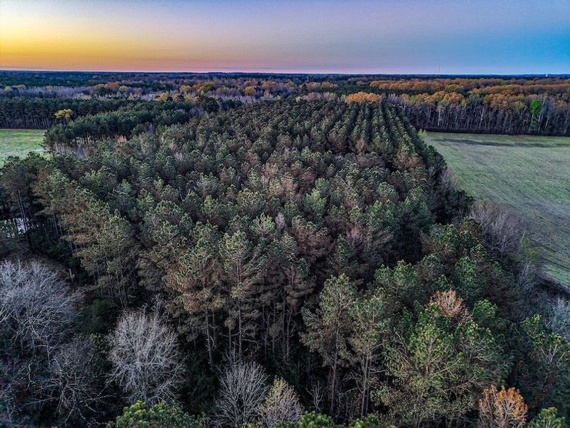 Chickasaw Tract 1-01