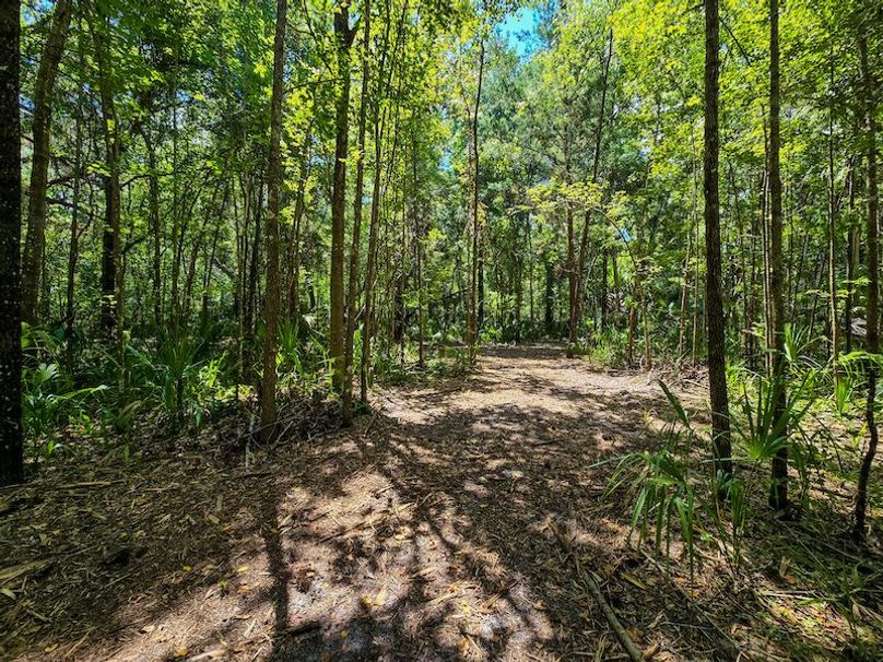 1.01ac, Citrus, Josiah Ronco02