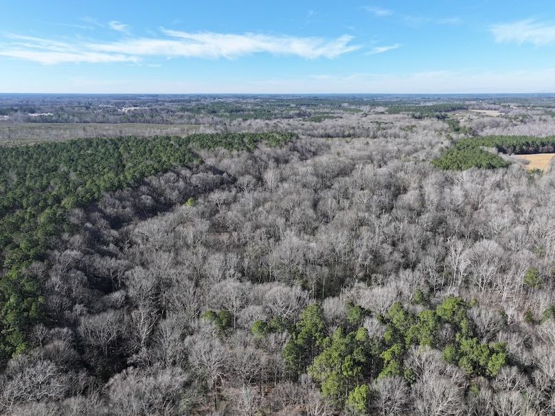 DJI_20260101141045_0293_D