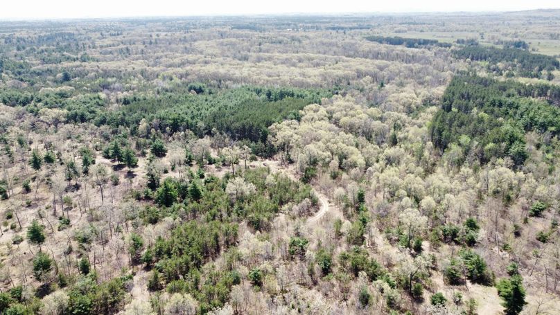 dji_fly_20230511_113830_441_1683838310766_photo_optimized