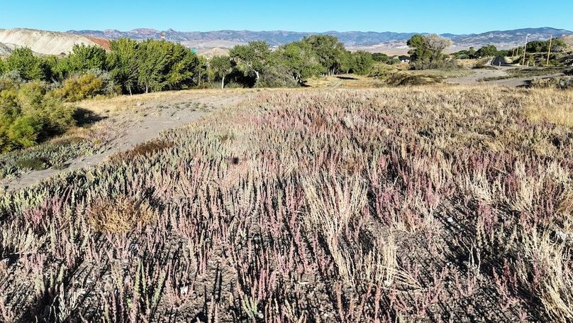 Salina Creek Acreage with Water Rights14