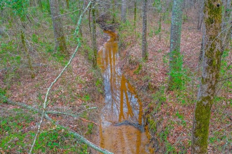 Copy of DJI_0048-HDR