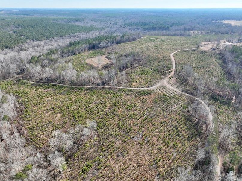 dji_fly_20260120_112224_185_1768926594464_photo