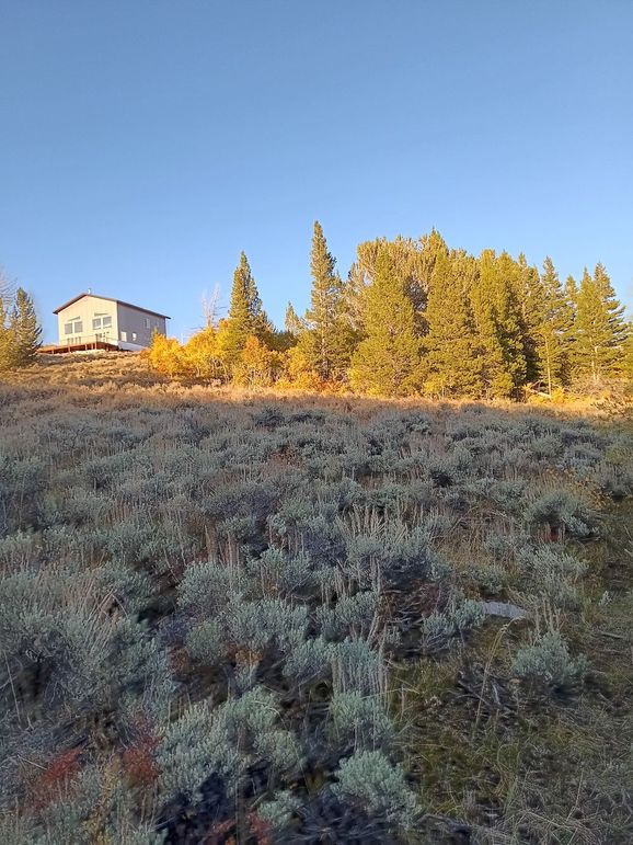 Resized_20250923_181905