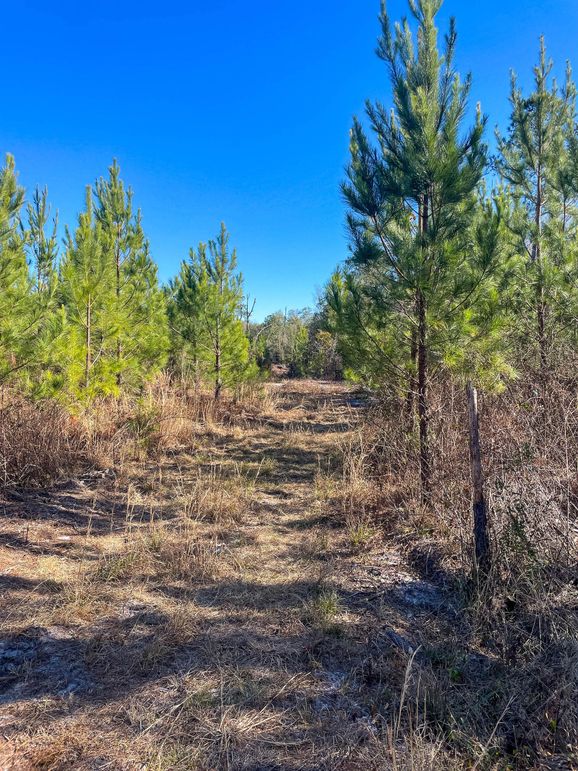 Pender NC 382 - Edits-49