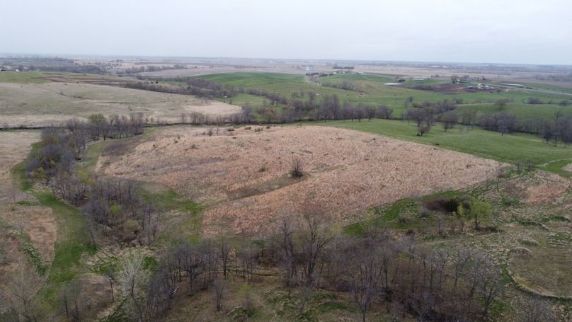 DJI_0685