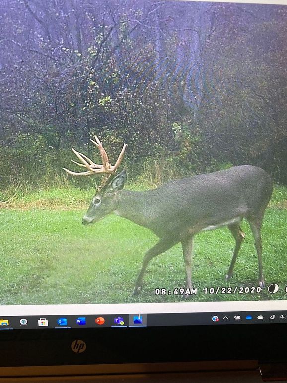 62545502711__B471CA8A-4A5C-4861-968D-7F14DC2A96A6