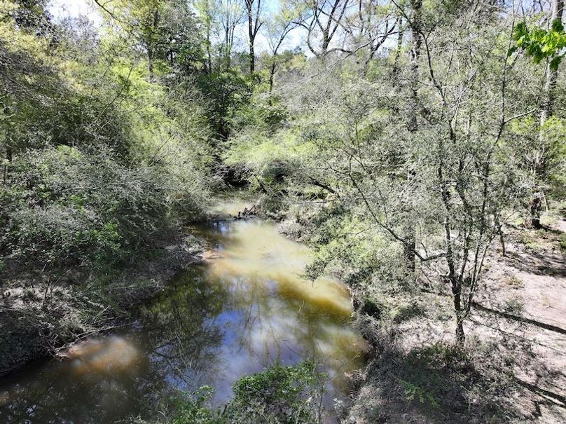 dji_fly_20260317_091130_0395_1773768879799_photo