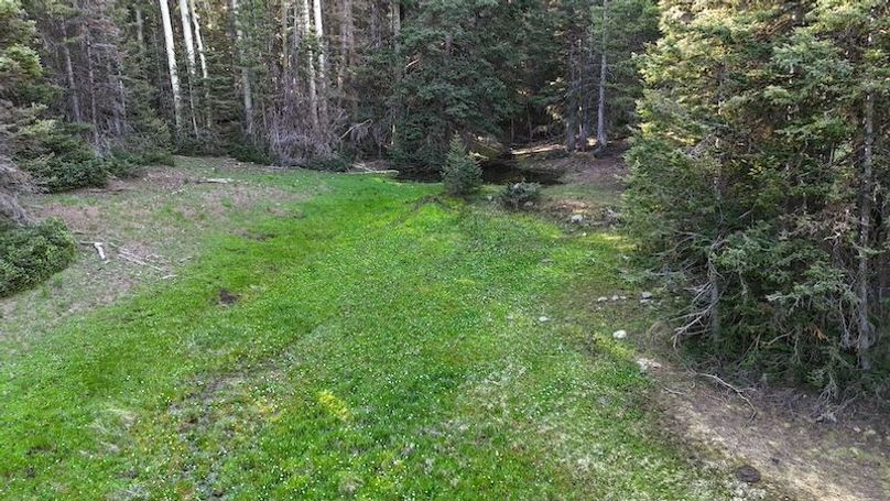 DJI_20250614082034_0150_D
