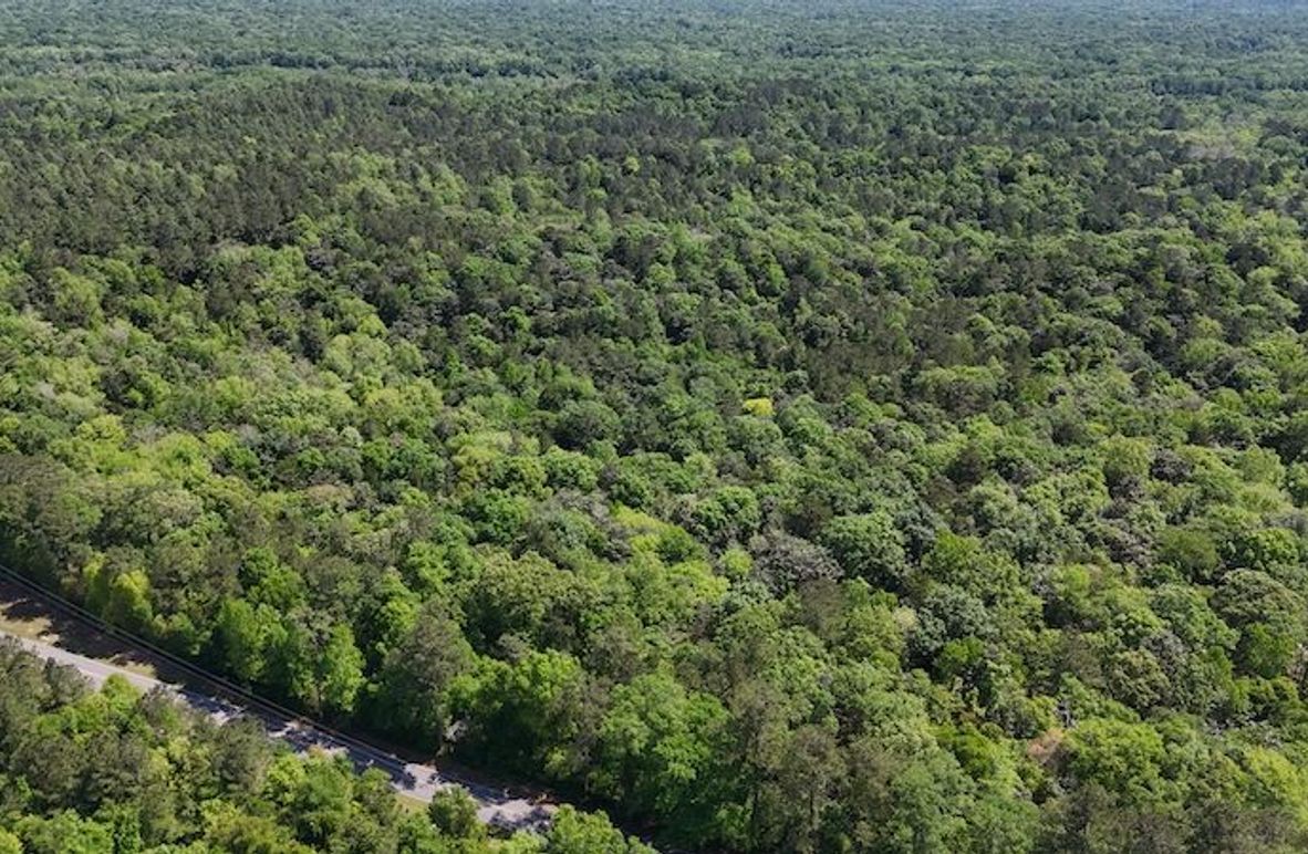 DJI_20250417120437_0005_D