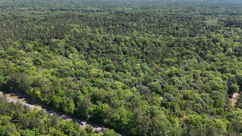 DJI_20250417120437_0005_D