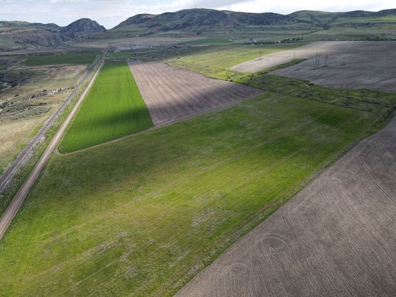 dji_fly_20240515_093638_443_1715787418852_photo